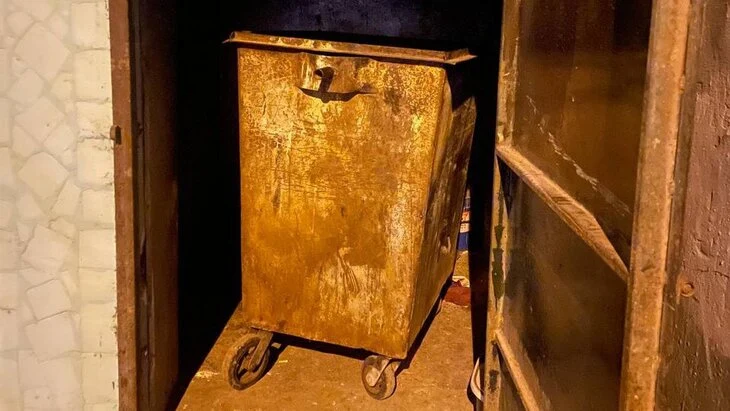 Омбудсмен Мишонова: найденный в мусорном баке младенец в Орехово-Зуеве не пострадал Омбудсмен Мишонова: найденный в мусорном баке младенец в Орехово-Зуеве не пострадал