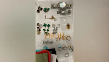 Таможня в Домодедово нашла у россиянки драгоценности стоимостью 5 млн рублей