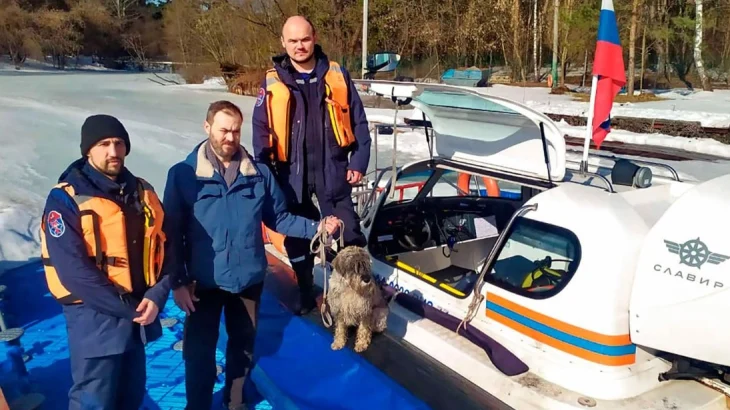 Московские спасатели рассказали о помощи домашним животным Московские спасатели рассказали о помощи домашним животным