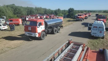 Лесной пожар в Ростовской области ликвидирован