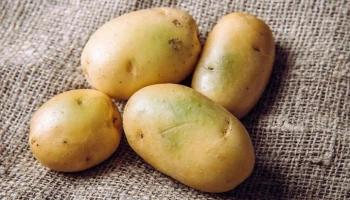 "Руспродсоюз": минимальные цены на картофель установятся в октябре&ndash;ноябре