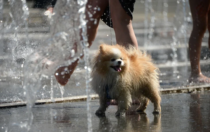 Синоптик Тишковец: Пасха в Москве станет одним из самых теплых дней в истории Синоптик Тишковец: Пасха в Москве станет одним из самых теплых дней в истории
