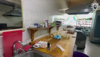 Россельхознадзор начал цифровое расследование после массового отравления шаурмой в Москве