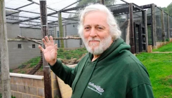 The Sun: самая крупная в Британии домашняя пума напала на 78-летнего "короля тигров"