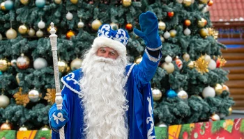 Дед Мороз доставил главную новогоднюю елку России в Кремль