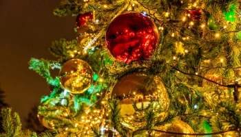 Анастасия Ракова рассказала об открытии в Москве пространства с уникальным световым шоу и рестораном