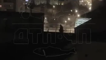 Неизвестный открыл стрельбу с крыши дома в Мурманске