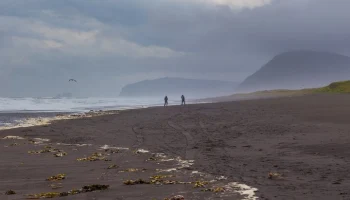 Землетрясение магнитудой 5,8 произошло у побережья Камчатки