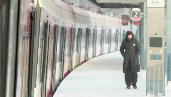 Синоптики предупредили москвичей о снежной и ветреной погоде 12 февраля