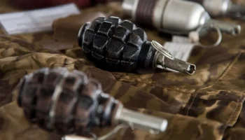 Мужчина подорвал гранату при попытке задержания в Ростовской области