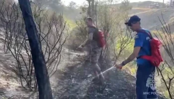 Природный пожар у Феодосии локализован