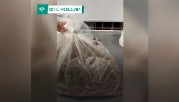 Шереметьевская таможня пресекла контрабанду кубинских сигар на 1,5 млн руб