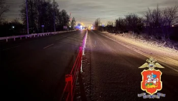 Водитель "Газели" насмерть сбил двух пешеходов в Подмосковье