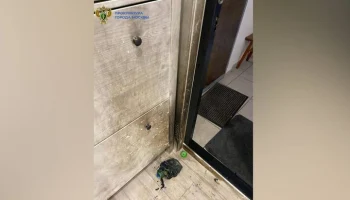 Мужчина поджег себя в квартире бывшей жены и троих детей на юго-востоке Москвы