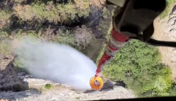 Пожар в Коктебеле ликвидирован на 40 га