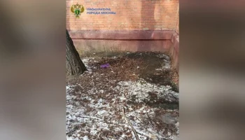 Мальчик выпал из окна четвертого этажа жилого дома на северо-западе Москвы