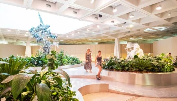 Российские флористы представят оригинальные композиции в биокластере на ВДНХ