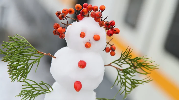 Зимней сказки не будет? Когда в Москве образуется устойчивый снежный покров Зимней сказки не будет? Когда в Москве образуется устойчивый снежный покров