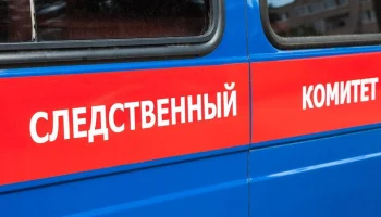 СК установит обстоятельства гибели доярки от удара молнии в Пермском крае