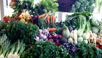 Фермер помогает бойцам СВО по примеру земляков