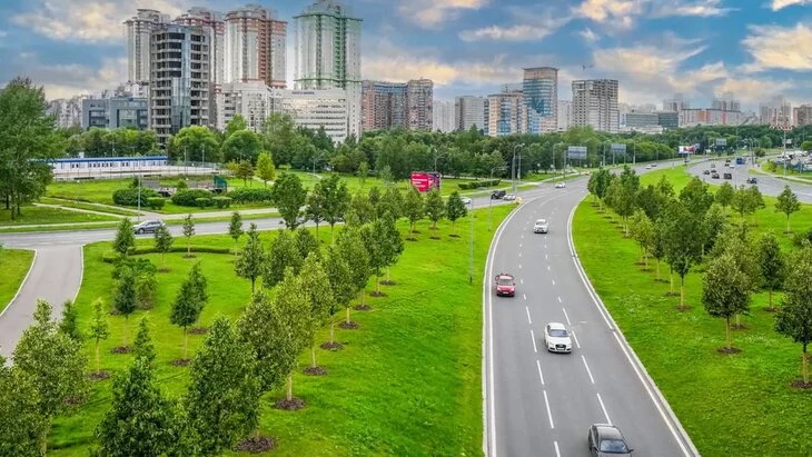 Собянин: этой осенью на столичных магистралях высадят более 3 тысяч деревьев