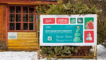 Пункты акции "Елочный круговорот" начнут работу в Москве 2 января