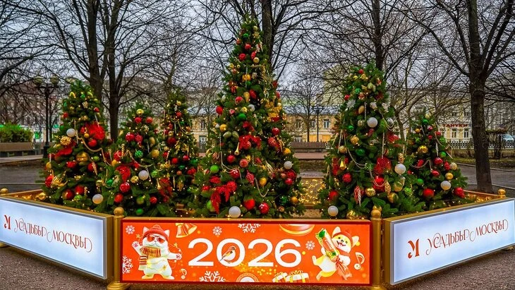 Елки городских проектов установили на Цветном бульваре в рамках "Зимы в Москве"