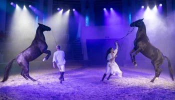 Московские ЗАГСы проведут свадьбы на лошадях Кремлевской школы верховой езды