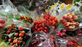 Посетительницам Музея Победы 8 марта подарят цветы