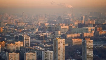 Около 370 арендованных помещений выкупил у города малый и средний бизнес в 2023-м