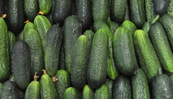 Житель Тюмени украл больше тонны огурцов и 400 килограммов бананов