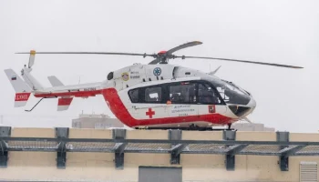 Мальчик, искусанный в Сочи собаками, перевезен в Москву