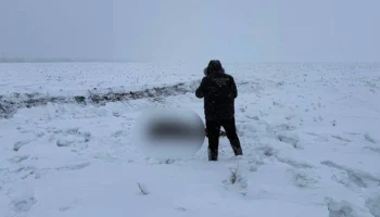 РИА Новости: тракторист случайно нашел тело пропавшего под Саратовом подростка