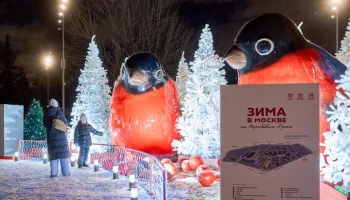 "Активные граждане" выберут самые интересные мероприятия проекта "Зима в Москве"