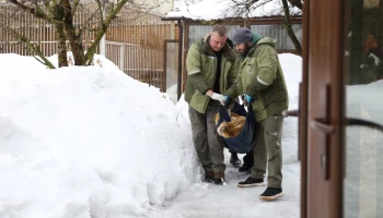 Сотрудники прокуратуры изъяли диких животных у жителя Новой Москвы