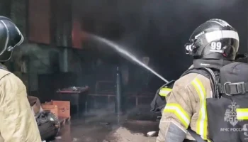 Пожар локализован на 1 600 "квадратах" в Новокуйбышевске