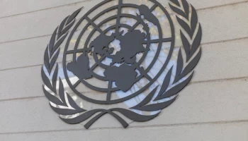 ООН обеспокоена атакой на корреспондента ВГТРК Поддубного