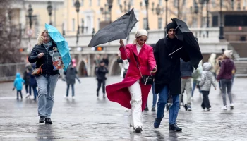 &laquo;Желтый&raquo; уровень опасности объявили в Москве из-за порывистого ветра