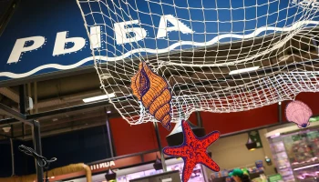 На рыбных рынках &laquo;Москва &mdash; на волне&raquo; провели занятия для детей участников СВО