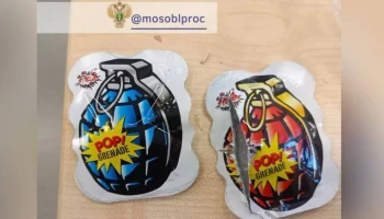 Дело возбуждено после взрыва хлопушки в подмосковной школе