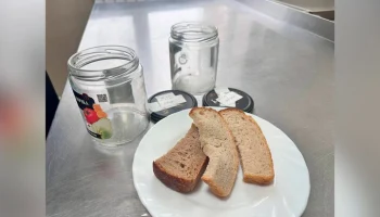 Прокуратура начала проверку школ Камчатки после жалоб на хлеб с личинками