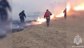 Глава Рослесхоза назвал ситуацию с пожарами в Забайкалье близкой к федеральному ЧС