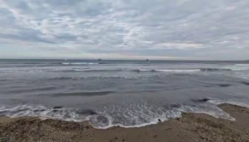 Порядка 50&ndash;60 судов занимаются мониторингом зоны загрязнения в Черном море