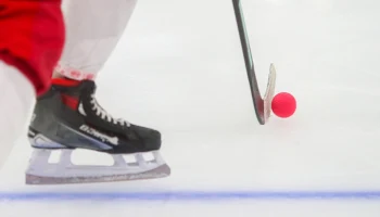 Болельщики вывесили флаг России на хоккейном матче Канады и Чехии на Олимпиаде