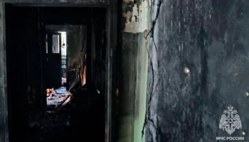 Пять человек погибли при пожаре в Подмосковье
