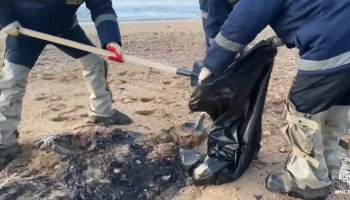Мазут обнаружен на участке берега длиной 40 километров из-за ЧП с танкерами