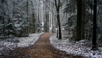 Синоптик Ильин предупредил москвичей о морозах и снеге на следующей неделе