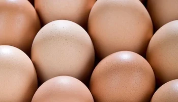 Минсельхоз предложил зафиксировать цены на социально значимые товары