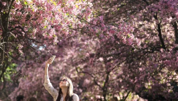 Синоптик Ильин рассказал о погоде в Москве на майских праздниках