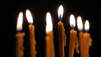 Стала известна причина смерти актера из &laquo;Глухаря&raquo; Владимира Новицкого